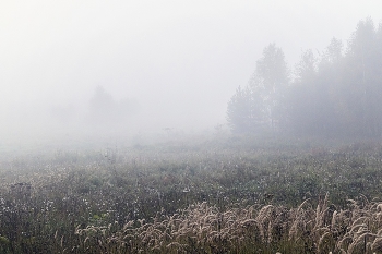 Eines Morgens / ***