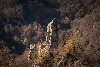 Ruins Of Muri Fortress / The ancient ruins of the Muri fortress, waiting for another autumn