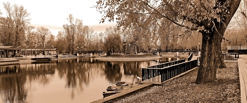 im Park / ...