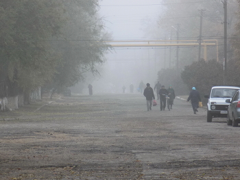 Herbstnebel / ***