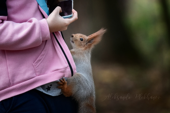 Foto-Shooting / ***