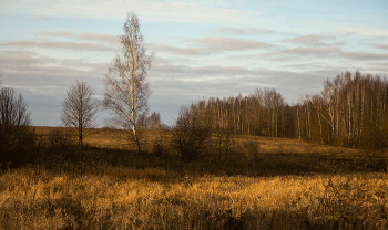 Abenddämmerung / ***