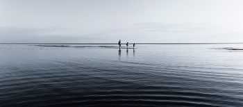 Walk on Water / ***
