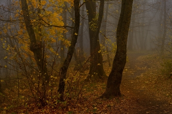 Ging Herbst / ***