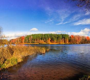 Autumn Gatchina / ***