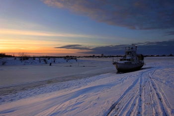 Winter / ***