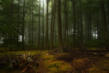 an der Schwelle zum Herbst / ***