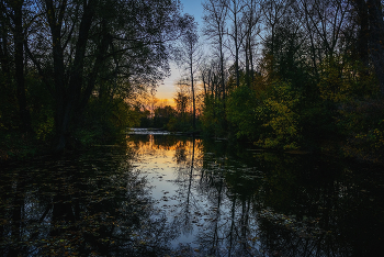 Abend / ***
