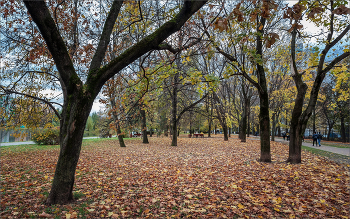 Im Herbst des Parks ... / ***