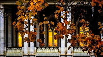 Herbst in der Stadt / ***