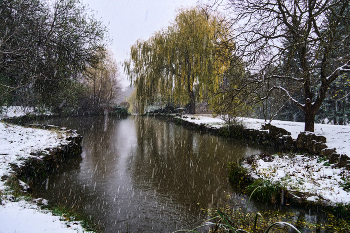 Schwimmbecken / ***