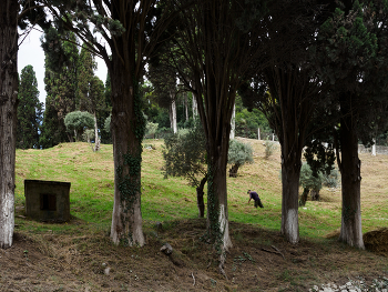 Heuernte / ***