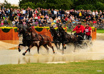 Wasserspiele....:) / CHIO 2023 Aachen