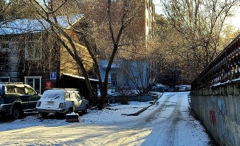 Winter / ***