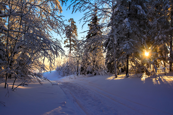 die Morgensonne / ***