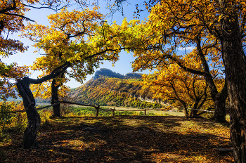 Herbst / ***