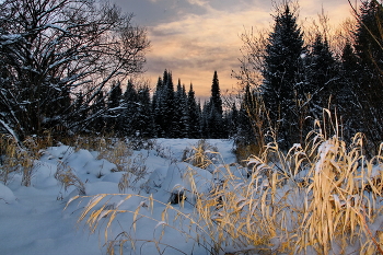 Winterabend. / ***