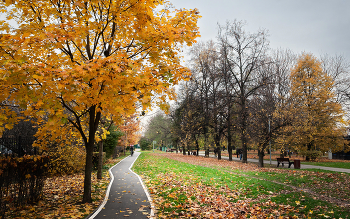 Im Herbst des Parks ... / ***