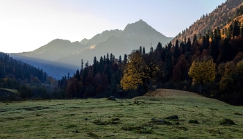 Herbstmorgen. / ***