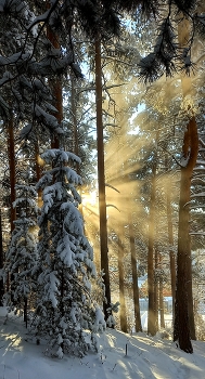 Guten Morgen / ***