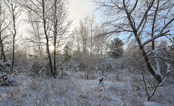 Winter- Skizze. / ***
