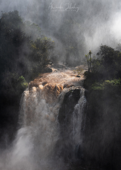 Am Wasserfall / ***