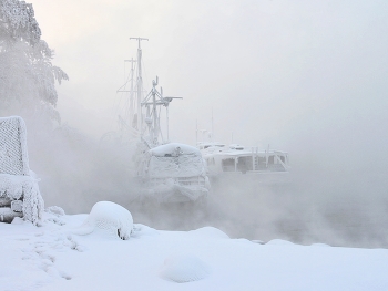 Winterschlaf / ***