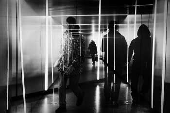 Labyrinth / ...