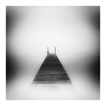  / ***