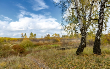nachdenklich Herbst / ***