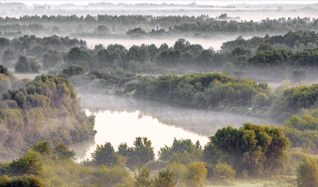 Nebel zerstreut / ***