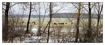 In freier Wildbahn / ***