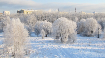Winter / ***