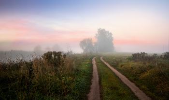 Straße im Nebel / ***