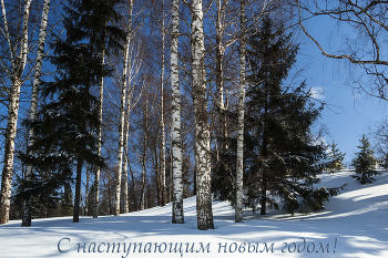 Happy New Year! / ***