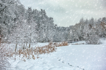Schneesturm / ...