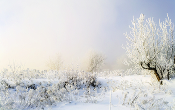 Silvester / ***