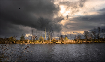 St. Petersburg im Herbst / ***