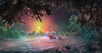Winter / ***