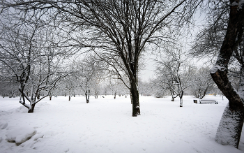 Im Winter Park ... / ***