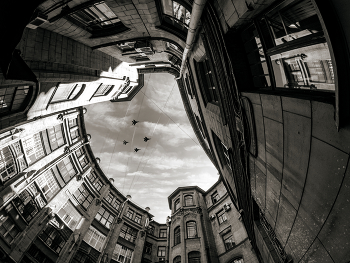 Probe / ***