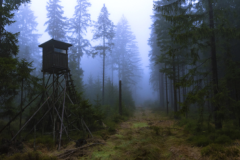 Nebligen Morgen. / ***