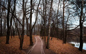 Im Herbst des Parks ... / ***