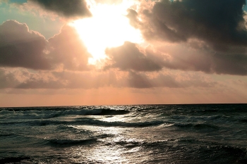 Ozean / ***