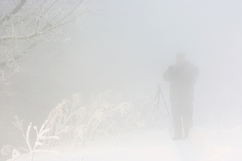 Igel im Nebel / ***