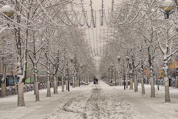 Nach Schneefall / ***