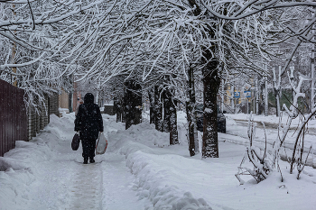 Winter / ***