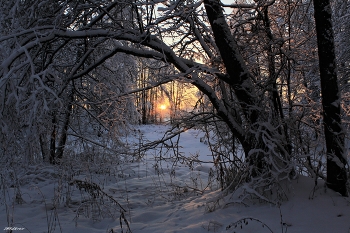 Eines Abends / ***