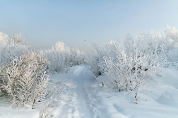 frostig Wanderwege / ***