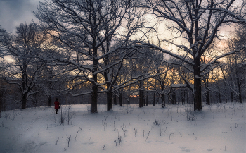 Kältesten Januar / ***